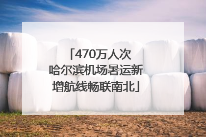 470万人次 哈尔滨机场暑运新增航线畅联南北
