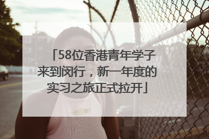 58位香港青年学子来到闵行，新一年度的实习之旅正式拉开
