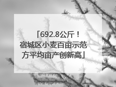 692.8公斤！宿城区小麦百亩示范方平均亩产创新高