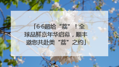 6·6超给“荔”！全球品鲜嘉年华启幕，顺丰邀您共赴美“荔”之约