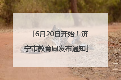 6月20日开始！济宁市教育局发布通知