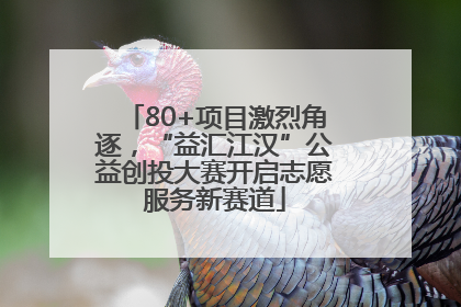 80+项目激烈角逐，“益汇江汉”公益创投大赛开启志愿服务新赛道