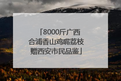 8000斤广西合浦香山鸡嘴荔枝赠西安市民品鉴