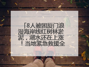 8人被困厦门浪漫海岸线红树林淤泥，潮水还在上涨！当地紧急救援全部脱困