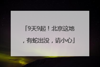 9天9起！北京这地，有蛇出没，请小心