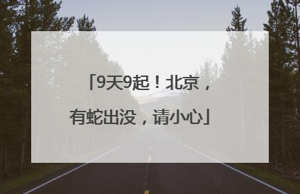 9天9起！北京，有蛇出没，请小心