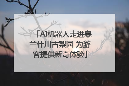 AI机器人走进皋兰什川古梨园 为游客提供新奇体验