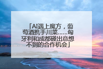 AI遇上魔方，葡萄酒携手川菜……匈牙利和成都碰出意想不到的合作机会