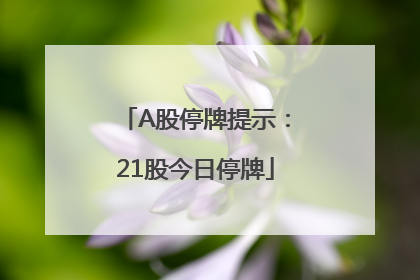 A股停牌提示：21股今日停牌