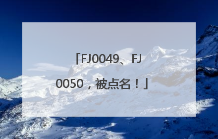 FJ0049、FJ0050，被点名！