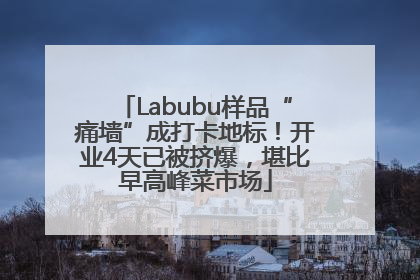 Labubu样品“痛墙”成打卡地标！开业4天已被挤爆，堪比早高峰菜市场